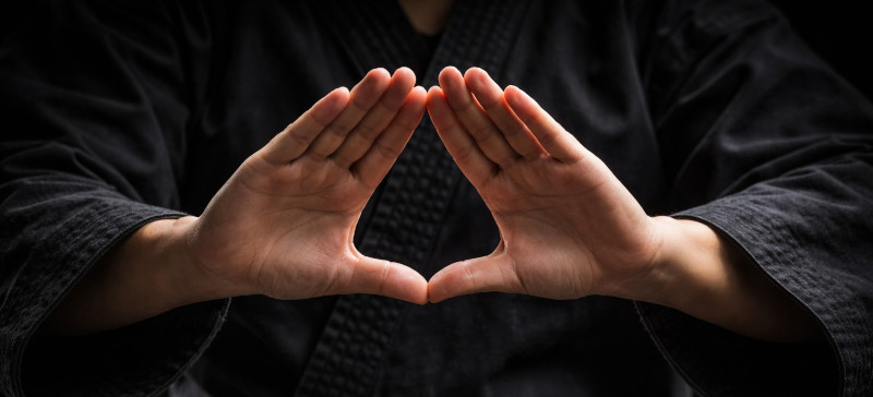 mudry w sztukach walki