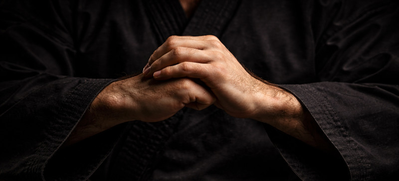 mudry w sztukach walki